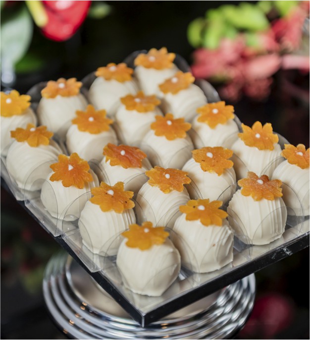 corporativo-3-jovina-gastronomia-afeto-tradicao-buffet-comida-eventos-sociais-casamento-debutante-corporativos-menu-completo-cardapio